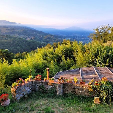 Agriturismo I Pitti 세라발레 피스토이에세 외부 사진
